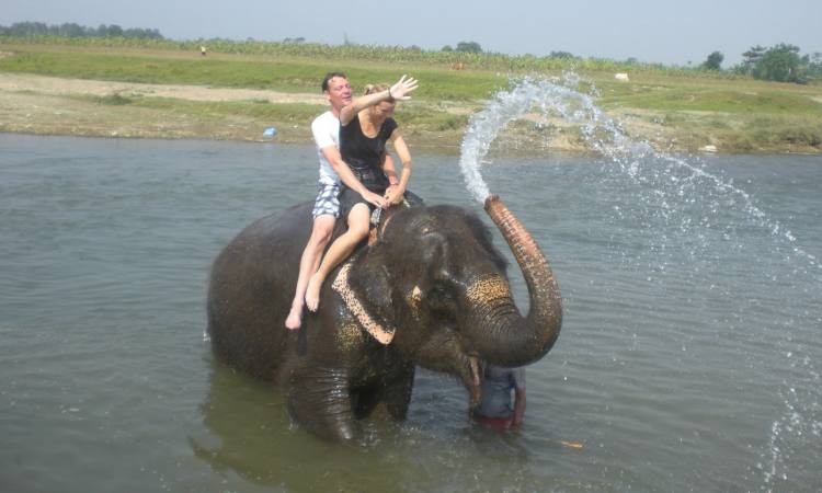 Entertainment with Elephant in Chitwan