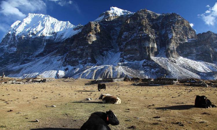 Kanchenjunga Trek