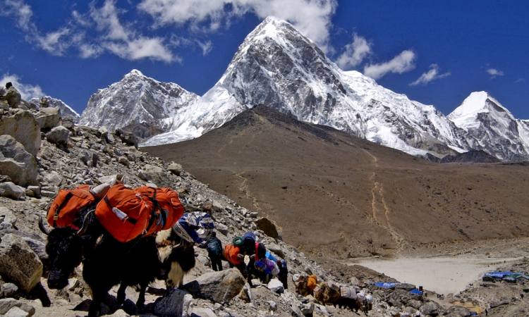 Tourism Activities in nepal