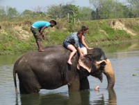 Chitwan National Park