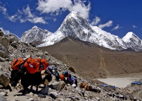Mt.. Everest (8848 m.) 